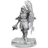 D&D Nolzur's Marvelous Unpainted Miniatures: Half-Elf Warlock