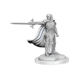 D&D Nolzur's Marvelous Unpainted Miniatures: Death Knights