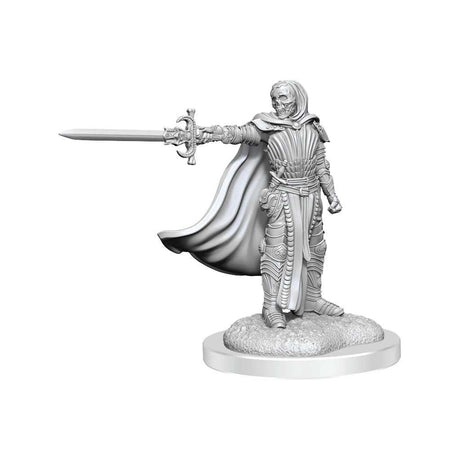D&D Nolzur's Marvelous Unpainted Miniatures: Death Knights