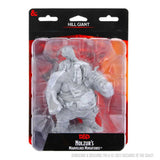 D&D Nolzur's Marvelous Unpainted Miniatures: Hill Giant