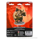 D&D Nolzur's Marvelous Unpainted Miniatures: Hill Giant