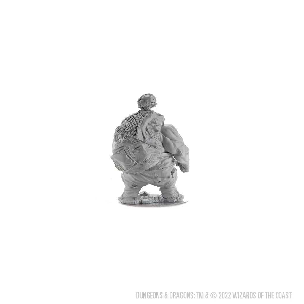 D&D Nolzur's Marvelous Unpainted Miniatures: Hill Giant