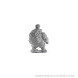 D&D Nolzur's Marvelous Unpainted Miniatures: Hill Giant