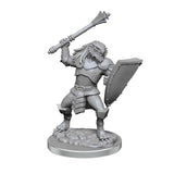 D&D Nolzur's Marvelous Unpainted Miniatures: Dragonborn Clerics