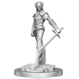D&D Nolzur's Marvelous Unpainted Miniatures: Drow Fighters