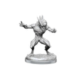 D&D Nolzur's Marvelous Unpainted Miniatures: Nothics