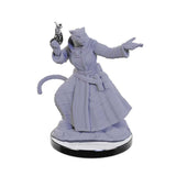 Critical Role Unpainted Miniatures: Lucien Tavelle & Cree Deeproots