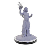 D&D Nolzur's Marvelous Miniatures: Elf Wizards