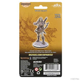 Pathfinder Deep Cuts Miniatures: Wood Giant