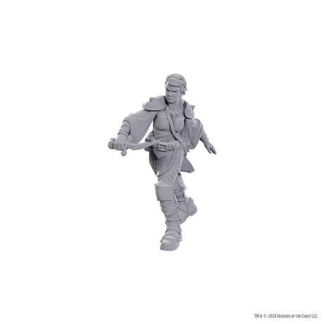 D&D Nolzur's Marvelous Unpainted Miniatures: Swashbuckler