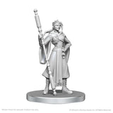 Critical Role Unpainted Miniatures: Beauregard Lionett & Caleb Widogast