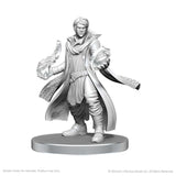 Critical Role Unpainted Miniatures: Beauregard Lionett & Caleb Widogast