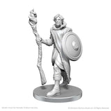 Critical Role Unpainted Miniatures: Mollymauk Tealeaf & Caduceus Clay