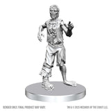 D&D Nolzur's Marvelous Miniatures: Ice Mephit & Dust Mephit