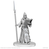 Pathfinder Battles Deep Cuts Unpainted Miniatures: Vloriak (Despoiler Demon) & Demonologist