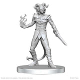 Pathfinder Battles Deep Cuts Unpainted Miniatures: Vordine (Infantry Devil) & Pitborn Rogue