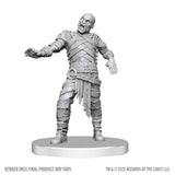 D&D Nolzur's Marvelous Miniatures: Swarm of Rot Grubs & Rot Grub Victim