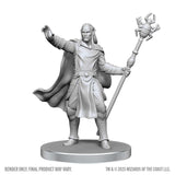 D&D Nolzur's Marvelous Miniatures: Drow Mage & Yochlol