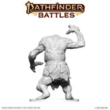 Pathfinder Battles Deep Cuts Unpainted Miniatures: Forest Troll