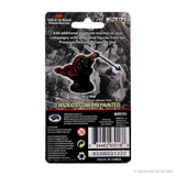 D&D Icons of the Realms Premium Figures: Male Tortle Monk