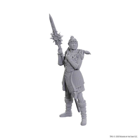 D&D Nolzur's Marvelous Unpainted Miniatures: Special Edition Baldur's Gate 3 - Lae'zel & Shadowheart
