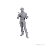 D&D Nolzur's Marvelous Unpainted Miniatures: Special Edition Baldur's Gate 3 - Gale & Astarion