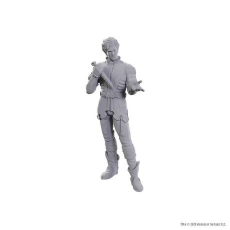 D&D Nolzur's Marvelous Unpainted Miniatures: Special Edition Baldur's Gate 3 - Gale & Astarion