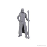 D&D Nolzur's Marvelous Unpainted Miniatures: Special Edition Baldur's Gate 3 - Gale & Astarion