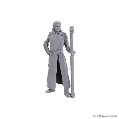 D&D Nolzur's Marvelous Unpainted Miniatures: Special Edition Baldur's Gate 3 - Gale & Astarion
