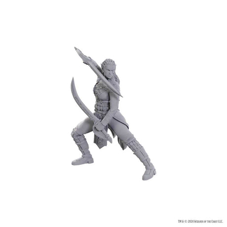 D&D Nolzur's Marvelous Unpainted Miniatures: Special Edition Baldur's Gate 3 - Jaheira & Halsin