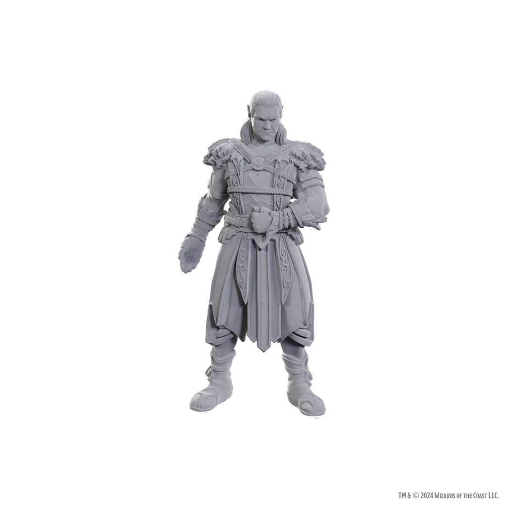 D&D Nolzur's Marvelous Unpainted Miniatures: Special Edition Baldur's Gate 3 - Jaheira & Halsin