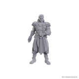 D&D Nolzur's Marvelous Unpainted Miniatures: Special Edition Baldur's Gate 3 - Jaheira & Halsin