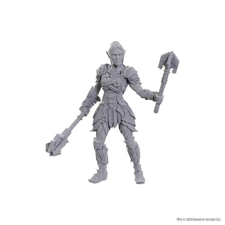 D&D Nolzur's Marvelous Unpainted Miniatures: Special Edition Baldur's Gate 3 - Dame Aylin & Minthara