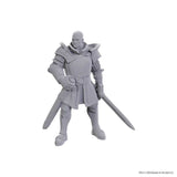 D&D Nolzur's Marvelous Unpainted Miniatures: Special Edition Baldur's Gate 3 - Ulder Ravengard & Zevlor