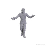 D&D Nolzur's Marvelous Unpainted Miniatures: Special Edition Baldur's Gate 3 - Sarevok Anchev & Raphael