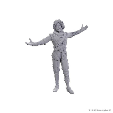 D&D Nolzur's Marvelous Unpainted Miniatures: Special Edition Baldur's Gate 3 - Volo & Withers