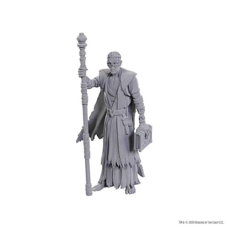 D&D Nolzur's Marvelous Unpainted Miniatures: Special Edition Baldur's Gate 3 - Volo & Withers